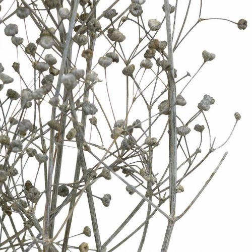 Article Fleur séchée Massasa branches décoratives blanchies 50-55cm bouquet de 6 pièces