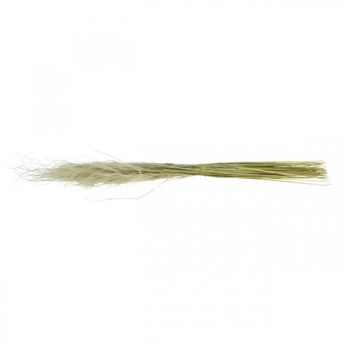 Article Fleurs séchées déco plume herbe herbe sèche nature 50g