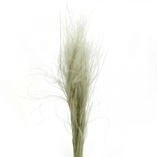 Article Fleurs séchées déco plume herbe herbe sèche nature 50g