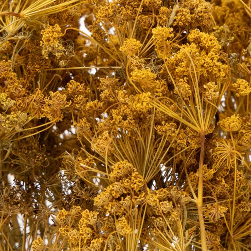 Article Bouquet de fleurs séchées aux délicates fleurs pour une décoration romantique et vintage 55 cm