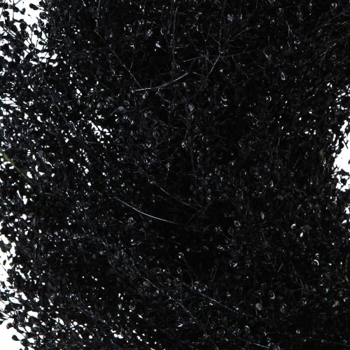 Article Couronne de fleurs séchées noir métallisé Lepidium Ø33cm