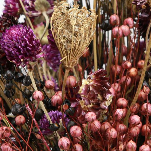 Article Fleurs séchées trèfle violet fleurs de paille lin aneth 35cm 150g
