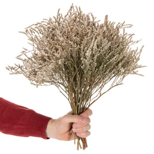 Fleurs séchées Statice naturel 1 kg | Floristik24.fr