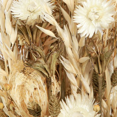Article Fleurs séchées or blanc avec capuchon fleurs Phalaris 30cm 200g