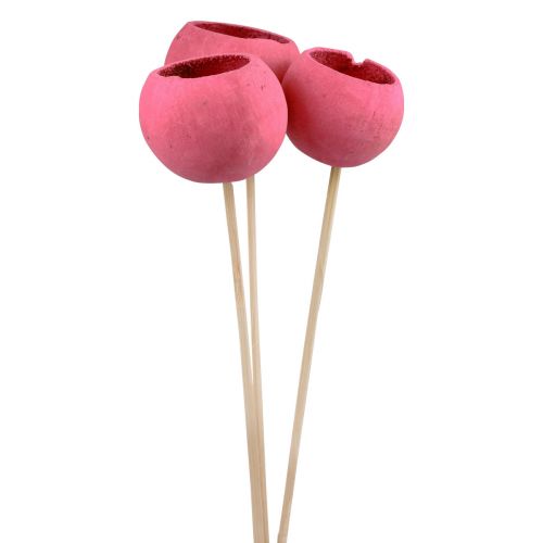 Fleurs séchées coupelles décoratives en forme de cloche sur tige rose 42cm 3pcs