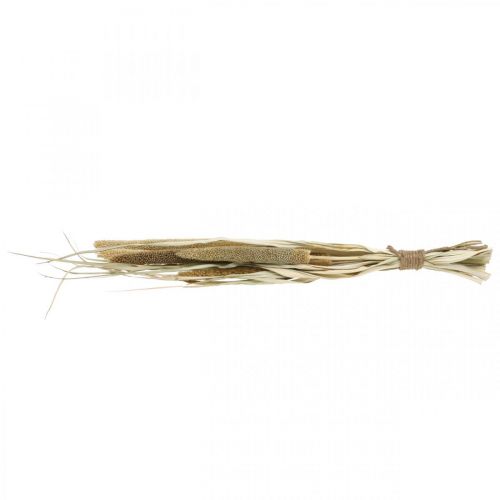 Article Fleuristerie sèche Céréales Botte d'épis de millet séchés 45cm