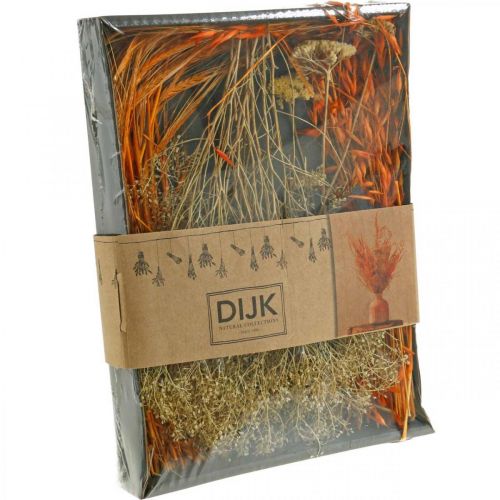 Floristik24 Coffret Fleurs Séchées Orange Dry Floristry Set