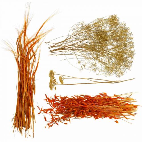 Coffret Fleurs Séchées Orange Dry Floristry Set