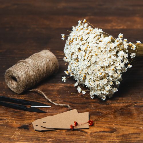 Article Bouquet de fleurs séchées, fleurs délicates pour une décoration intérieure naturelle, 44 cm