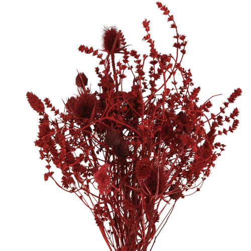 Article Bouquet de fleurs séchées décoration chardon en rouge vin 40cm 80g