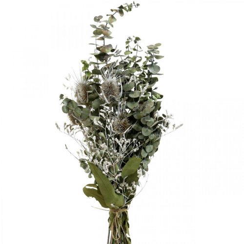 Bouquet de fleurs séchées eucalyptus bouquet de chardons 45-55cm 100g