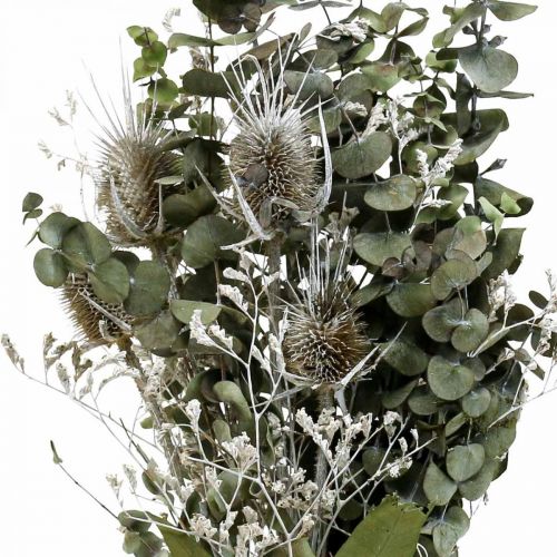 Bouquet de fleurs séchées eucalyptus bouquet de chardons 45-55cm 100g