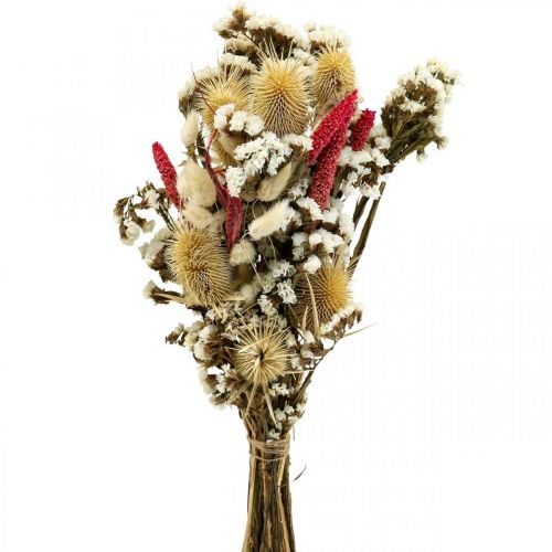 Floristik24.fr Bouquet de fleurs séchées Fleurs de paille Bouquet de  chardon 40–45cm - acheter pas cher en ligne
