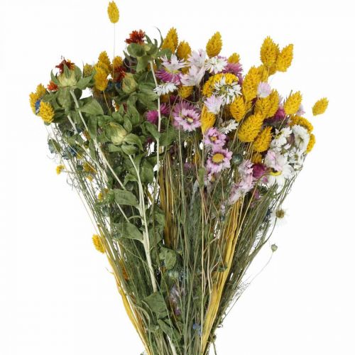 Bouquet mixte de fleurs séchées Bouquet sec de fleurs sauvages bouquet 58cm