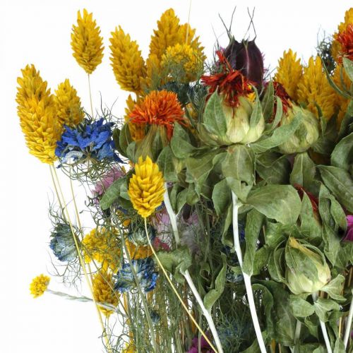 Article Bouquet de fleurs séchées Bouquet de fleurs séchées Bouquet de fleurs des prés 58cm