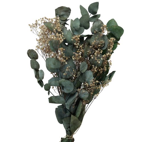 Floristik24 Bouquet de fleurs séchées eucalyptus gypsophile stabilisé 50cm vert
