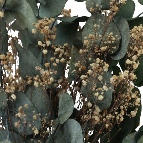 Floristik24 Bouquet de fleurs séchées eucalyptus gypsophile stabilisé 50cm vert