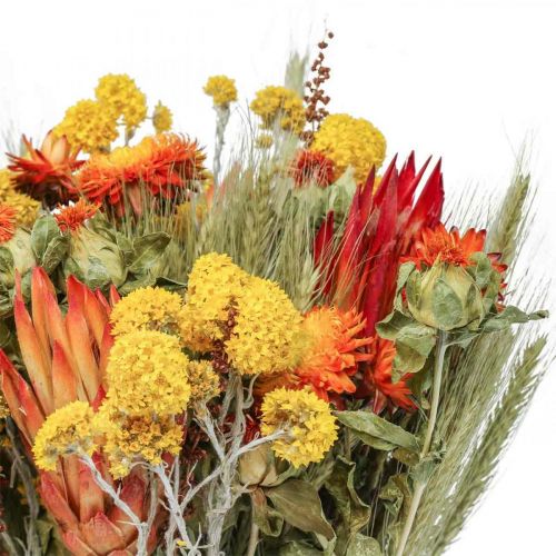 Floristik24 Bouquet de fleurs séchées Bouquet de fleurs des prés Orange H50cm 300g