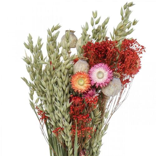 Bouquet de fleurs séchées Bouquet de fleurs des prés Rouge H50cm 150g