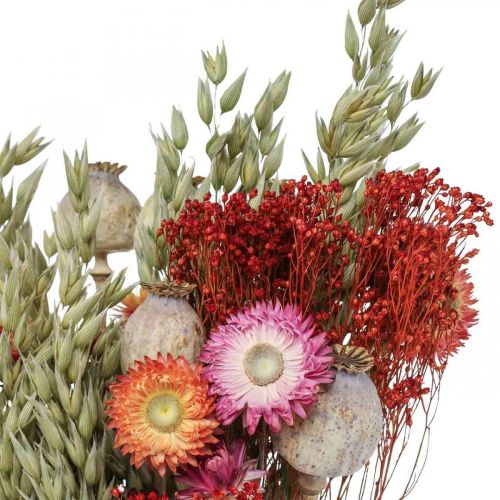 Article Bouquet de fleurs séchées Bouquet de fleurs des prés Rouge H50cm 150g