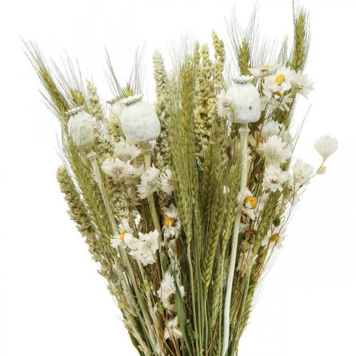 Floristik24 Bouquet de fleurs séchées paille fleurs grain coquelicot capsule herbe sèche 50cm