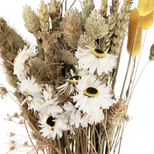 Article Bouquet de fleurs séchées fleurs de paille Phalaris blanc jaune 30cm