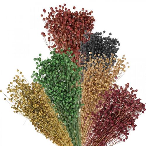 Floristik24 Lin décoratif herbe sèche divers coloris H50cm 80g