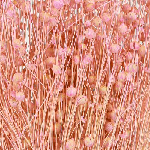 Article Lin séché à l'herbe sèche rose clair H50–55cm 80g