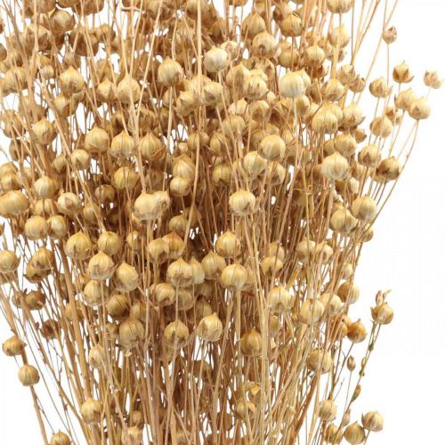 Floristik24 Herbe Séchée Lin Séché Naturel H50-55cm 80g