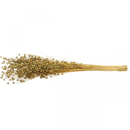 Article Herbe Séchée Lin Séché Vert Olive H50–55cm 80g