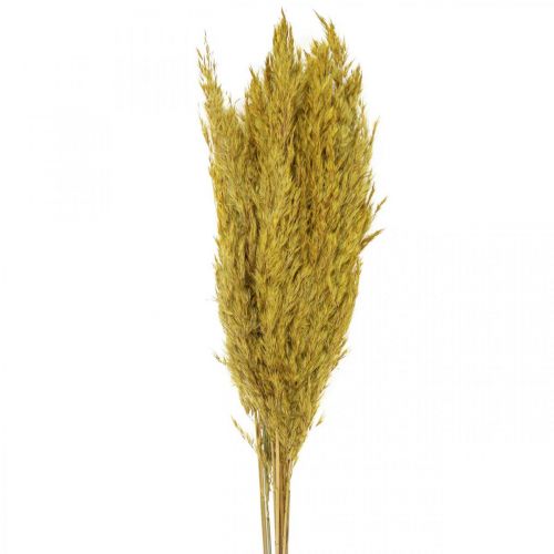 Article Décoration de carex d&#39;herbe sèche jaune séché 70cm 10 pcs