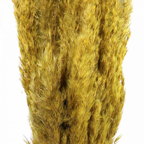 Article Décoration de carex d&#39;herbe sèche jaune séché 70cm 10 pcs