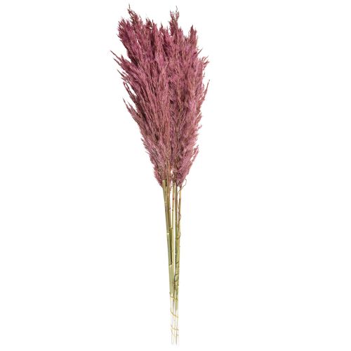 Article Herbe sèche carex herbe décorative séchée vieux rose 75cm 10 pièces