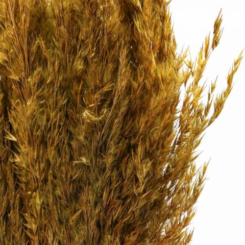 Article Carex d'herbe sèche herbe décorative vert olive séchée 70cm 10 pièces