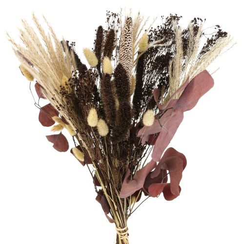 Floristik24 Bouquet sec eucalyptus herbe sèche bouquet 60cm 120g