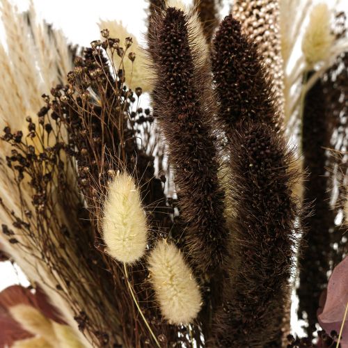 Floristik24 Bouquet sec eucalyptus herbe sèche bouquet 60cm 120g