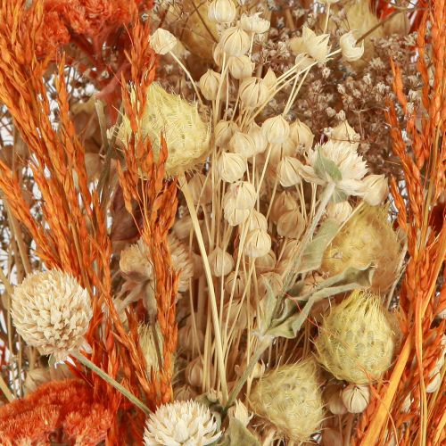 Article Bouquet sec chardon millefeuille orange blanchi 55cm 150g