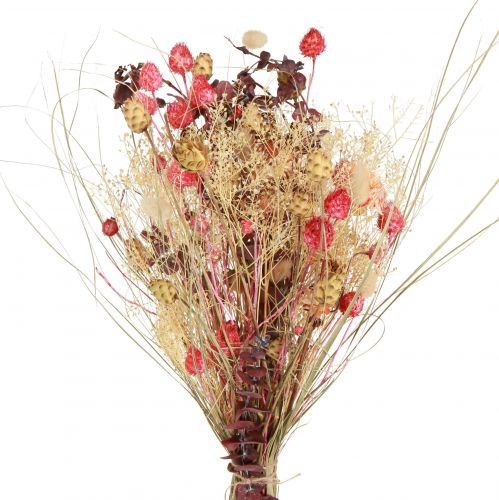 Article Bouquet sec de centaurée fraise chardon rouge blanchi 150g