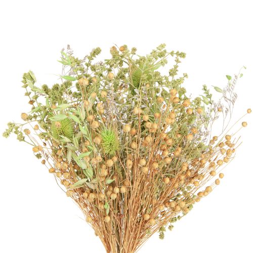 Article Bouquet sec de cardères avoine lin menthe blanc naturel 40cm 80g