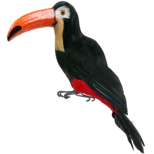 Floristik24 Déco toucan à plumes noir L37cm