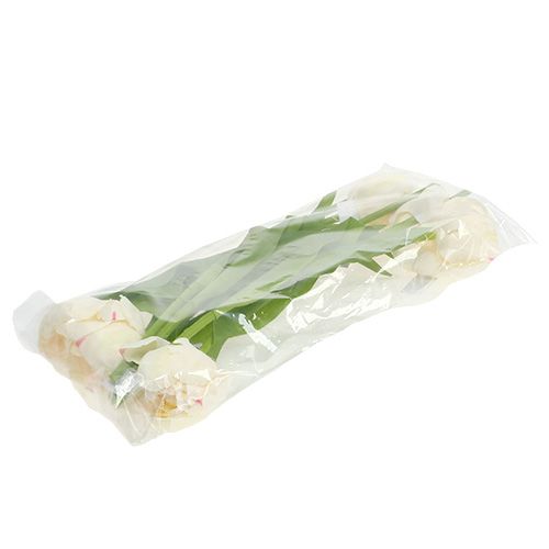 Floristik24 Tulipe crème 37cm 6pcs