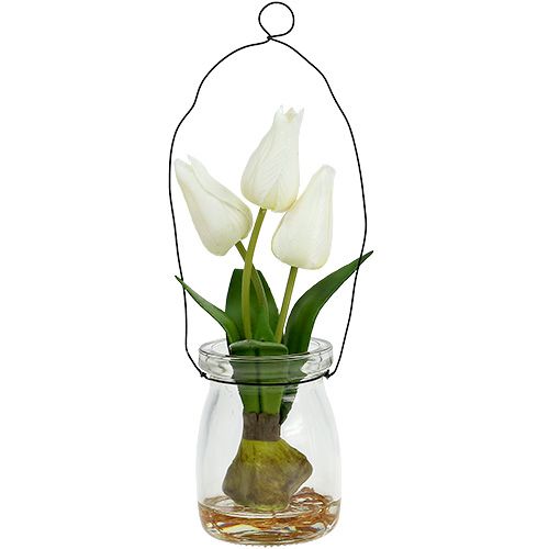Floristik24 Tulipe blanche dans le verre H21cm 1P