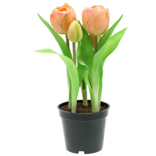 Floristik24 Tulipe Real-Touch Pêche 23cm