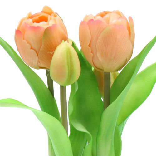 Floristik24 Tulipe Real-Touch Pêche 23cm