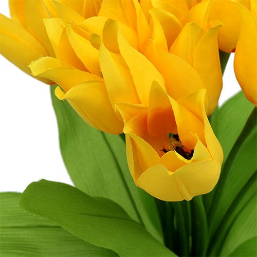 Floristik24 Tulipier Jaune H30cm