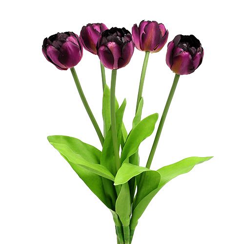 Floristik24.fr Bouquet de tulipes violettes 43 cm - acheter pas cher en  ligne