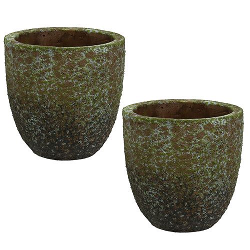 Floristik24 Gris Maçonnerie, Vert Ø14cm H14cm 2pcs