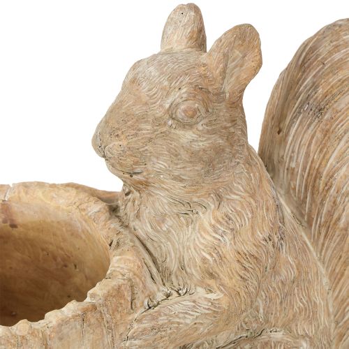 Article Jardinière en pierre reconstituée avec décor d&#39;écureuil 26×14×19cm