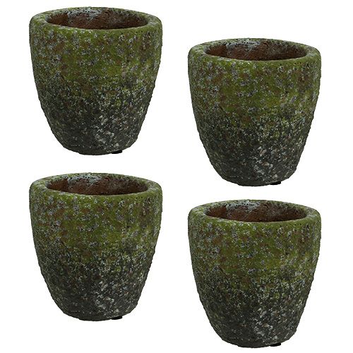 Floristik24 Jardinière avec mousse Ø10cm H10.5cm 4pcs