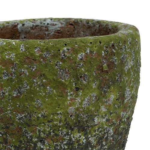 Floristik24 Jardinière avec mousse Ø10cm H10.5cm 4pcs